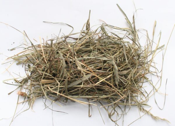 Ostergras Bastelheu 50 g