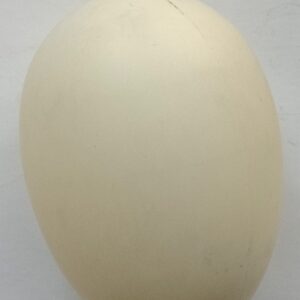 Plastikei 8,5 cm weiss