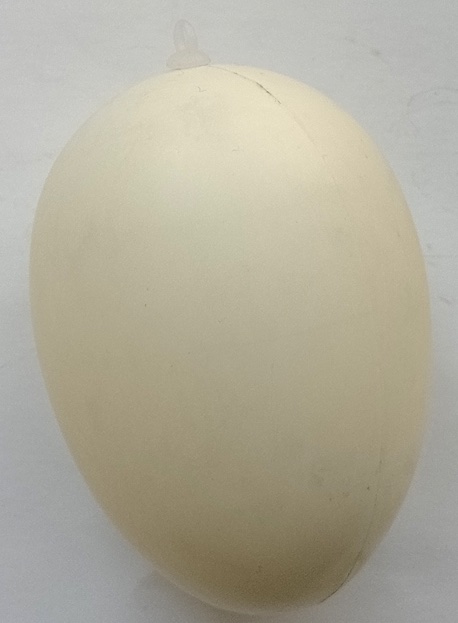 Plastikei85weiss Plastikei 8,5 cm weiss